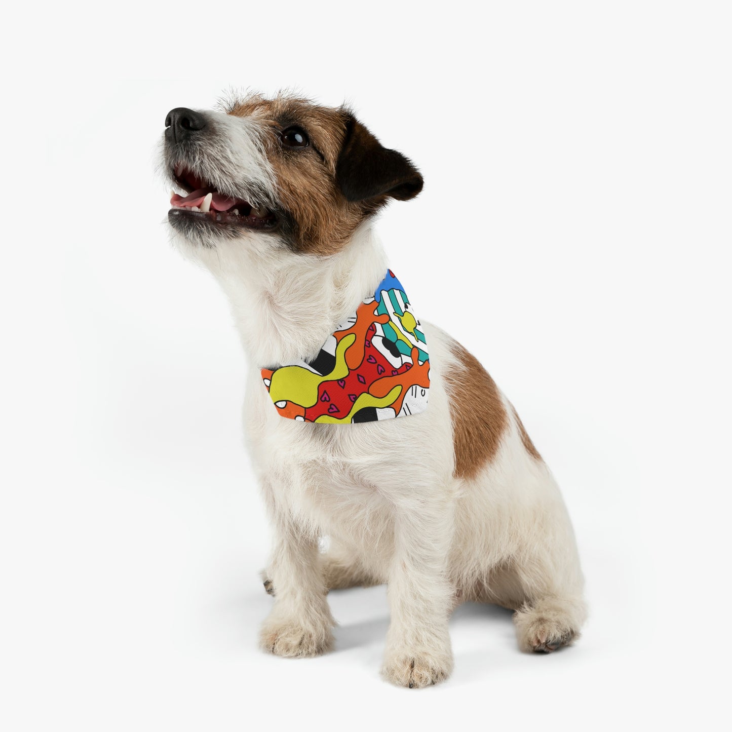 Unborings Pet Bandana Collar