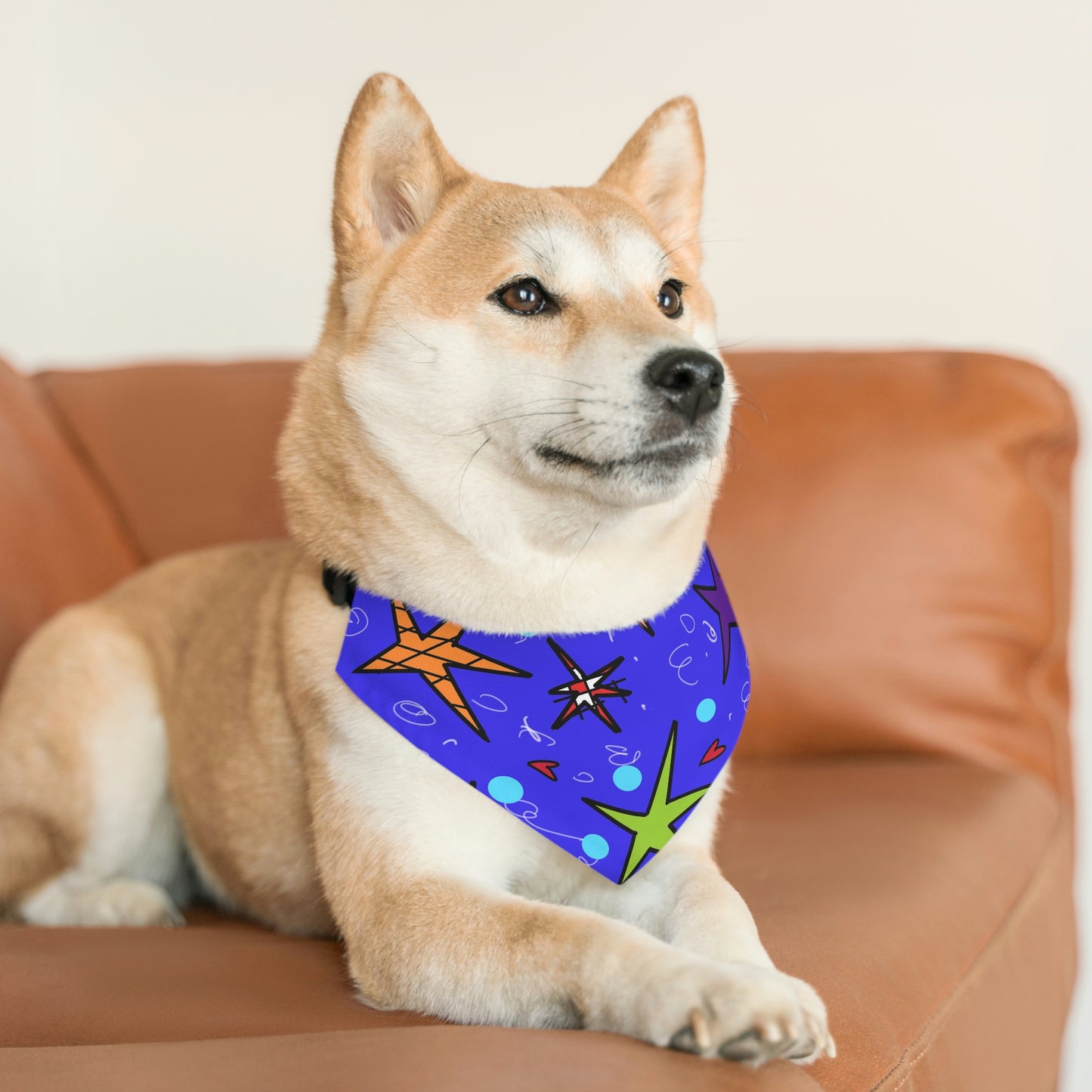 Pet Bandana Collar