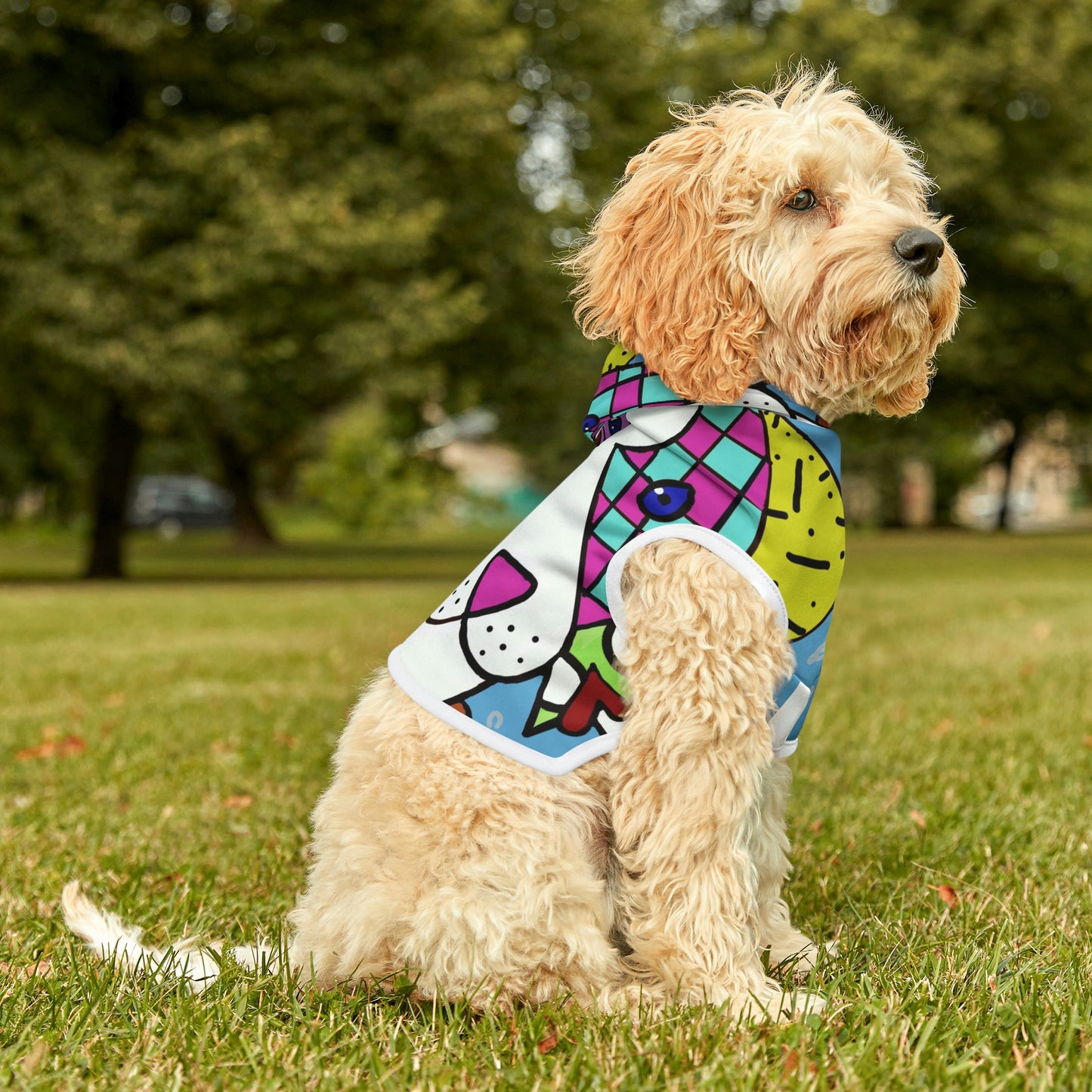 Dog Hoodie